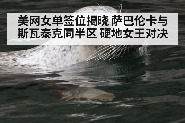 美网女单签位揭晓 萨巴伦卡与斯瓦泰克同半区 硬地女王对决
